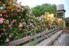 Queen Anne B&B and Spa: Deck in springtime