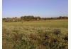 High Bridge Farm - Heart of Historic Gettysburg: Front Field