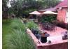 Florence Rose Guesthouse: Patio & Side Yard In Spring