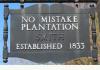 No Mistake Plantation: 