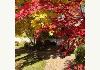 La Maison sur le Hill  (Mansion on the Hill): Autumn colors