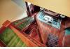 Freedom Oaks Bed & Breakfast: 