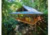 Boutique Hotel with 6 rooms in Dominica, Caribbean: aerial photo of tree house