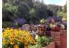 Durango B&B Opportunity : Custom Landscaping