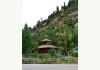 Durango B&B Opportunity : Gazebo 