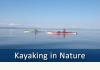 The Oceanfront Hotel: Kayaking in Nature