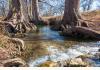 Camp Comfort: Beautiful Cypress Creek with 10' Deep Swimming Hol