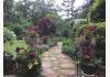 Flowertown Bed & Breakfast : beautiful gardens