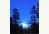 Starlight Pines B&B: Moonrise