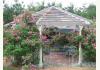 Cameo Rose Victorian Country Inn: Rose Gazebo