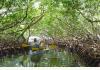 Upachaya Eco-Lodge & Wellness Resort: Kayaks included