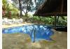 Upachaya Eco-Lodge & Wellness Resort: Pool with swim up pool bar