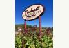 FINGER LAKES/KEUKA LAKE INN-Vinehurst Inn & Suites: 