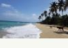 Vieques Guesthouse: Coconut Beach