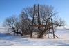 Big House on the Prairie: Treehouse in winter