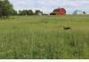 Big House on the Prairie: Farmyard looking from the NW