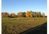 Big House on the Prairie: Shelter belt in fall colors