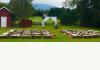 Virginia Wedding Venue and Bed and Breakfast: 