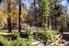 Gold Mountain Manor ~ Rustic Luxury, Big Bear   CA: Gorgeous, Peaceful Mountain Retreat