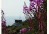 Alaska Adventure Cabins: Double Eagle from Dovetail Managers Deck