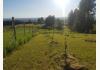 Red Fir Road: 