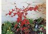 The Enchanted Poppy: Maple Tree in the Fall