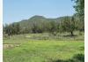 The Dolan House - in Historic Lincoln New Mexico: Fence back pasture 