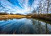 Reagan Mill Ranch: pond