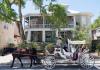 SOLD!!! - Southern Wind Inn B&B: Horse drawn carriage in front of Inn