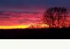 433 Hamilton : Breathtaking sunsets!