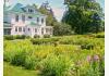 Greenwood Manor Inn  : Gardens~