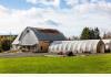 Auld Farm Inn & The Fiddle Shed : Greenhouses