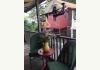 Historic Locke Bed & Breakfast: Patio Seating