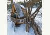 The Tree House Village Inn: Magical 4 season Tree House 