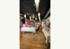Osage Building : Tipsy Artist Studio