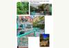 Osage Building : Back Yard and Sunroom View Overview