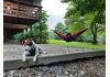 The Cabin Off The Blue Ridge Parkway: 