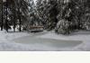Central Oregon Rural Residential Lodge: Circulating stream and pond frozen in winter