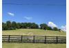 Farm in Maury County TN: 