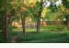 Landmark Oklahoma Hospitality Property: yard