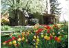 The Lancaster Bed & Breakfast: tulips and side of house