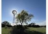 Wild Currant Farm: The Windmill at sundown