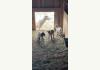 Southern Grace Bed and Breakfast & wedding venue: 