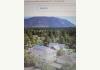 Near the Grand Canyon -303 BnB Inn Flagstaff: 