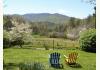 Henson Cove Place B&B w/Cabin -SOLD!!!: Mountain Pasture View