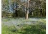 The Thomas Dixon House on the Salmon River!: 