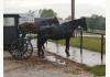 Ozarks Hospitality Under $450,000: Horse and Buggy