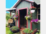 Pine Lake Lodge