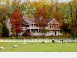 The Speckled Hen Inn Bed and Breakfast